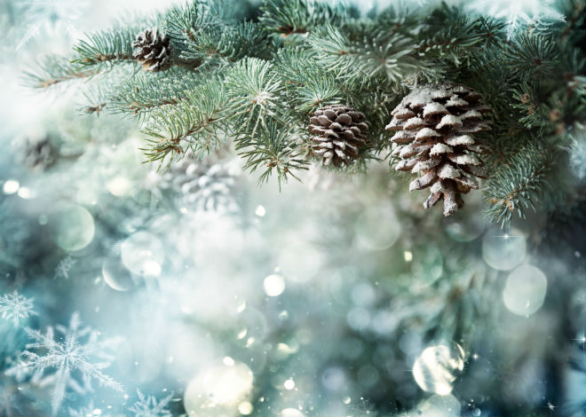 Happy Holidays