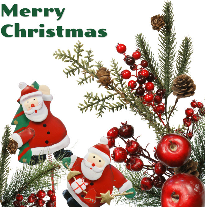 Merry Christmas