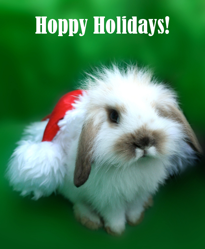 Hoppy Holidays